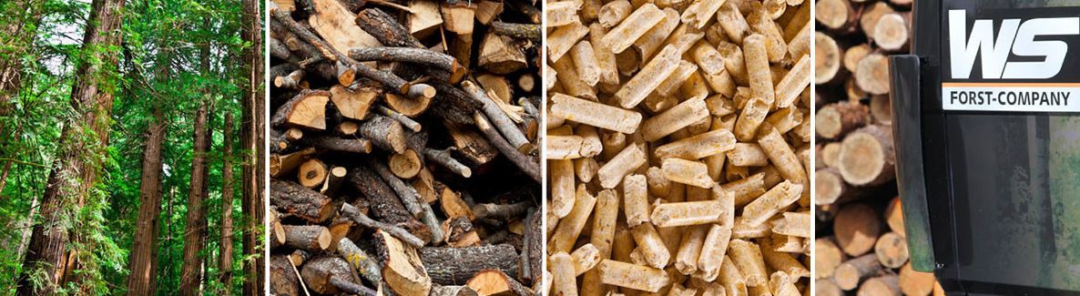 Holzservice