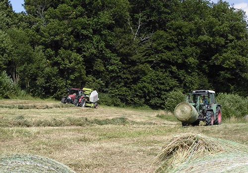 Landschaftspflege